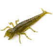 Diving Bug 2" Green Pumpkin Seed